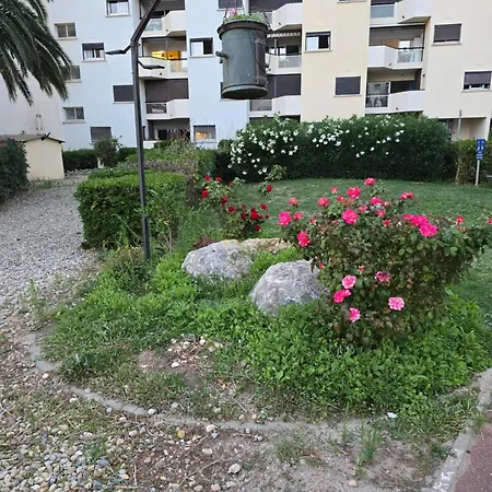 Coquet T 2 르발카레스