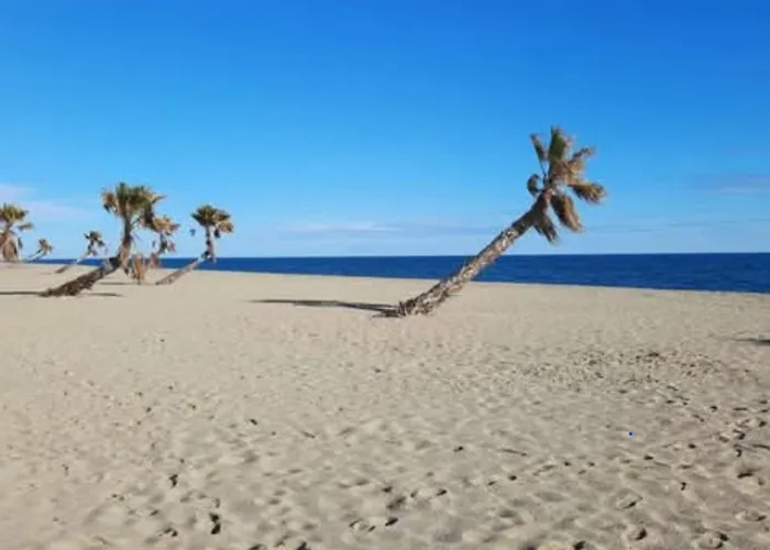 Coquet T 2 르발카레스