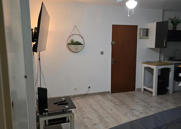 Coquet T 2 르발카레스