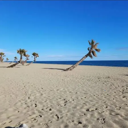 Coquet T 2 Le Barcarès