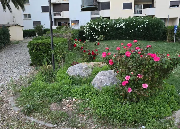 Coquet T 2 Le Barcarès